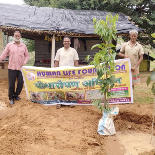 Mission Green: 1008 Trees Planted for a Greener Tomorrow!